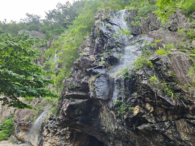 KakaoTalk_20250706_233212495.jpg