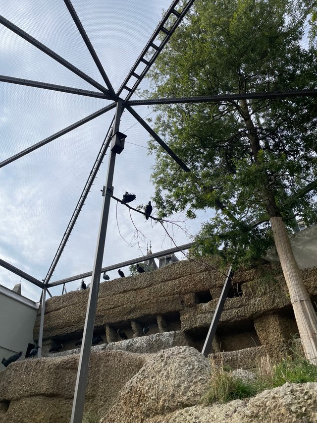 IMG_8066.jpeg