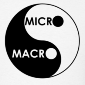 Macro and Micro.png