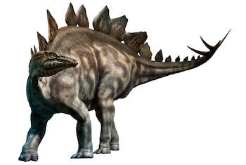stegosaurus.jpg