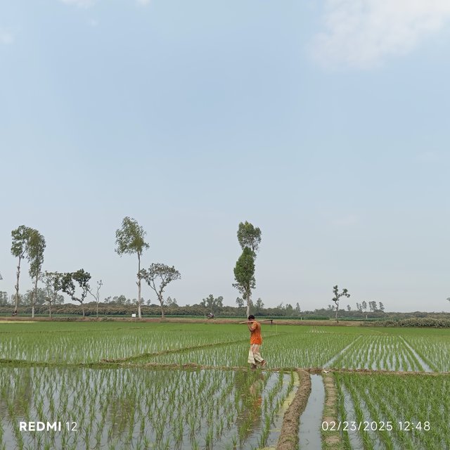 1000011585.jpg