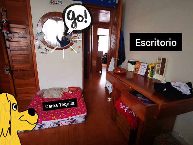 InShot_20200930_142522619.jpg