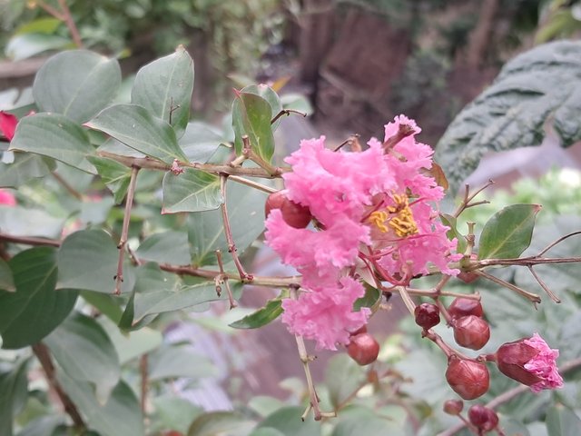 20250620_153759.jpg
