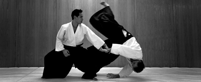 Aikido-Image-Source-Siamstarmma.jpg