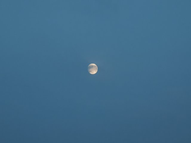 IMG_20250906_182525.jpg