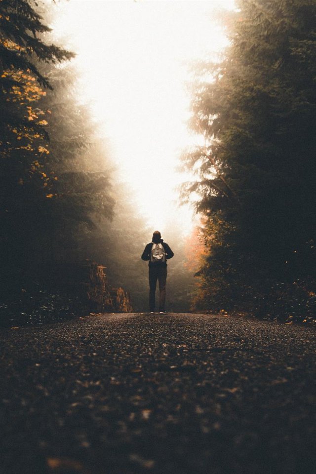 male-with-backpack-standing-path-tall-thick-trees-looking-light.jpg