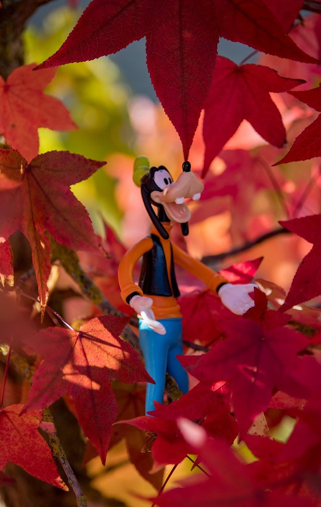 disney-3761361_1920.jpg