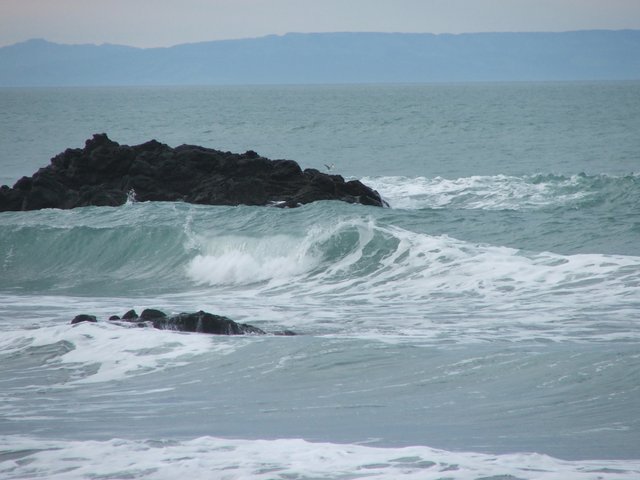 waves-at-sumner-beach-1554936.jpg