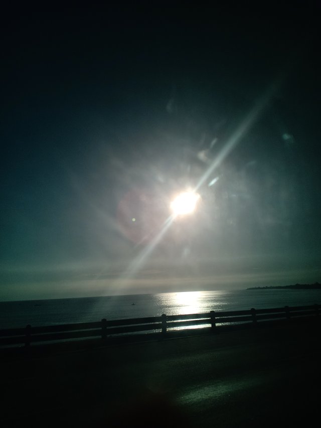 IMG20200423063322.jpg