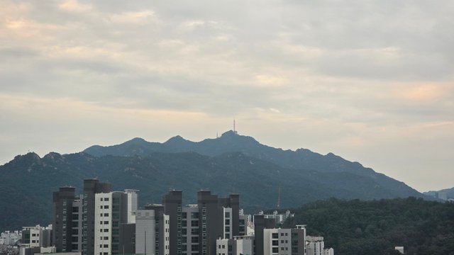 1000132048.jpg