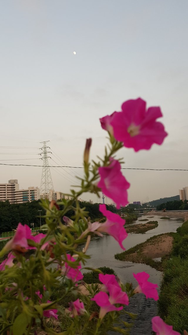 걷기운동 사진 고혈압을 위한 운동 무료이미지12.jpg