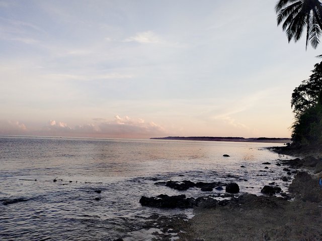 IMG_20251004_054905.jpg