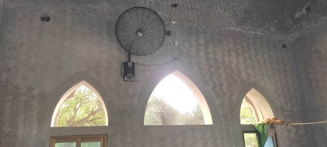 IMG_20250706_170619.jpg