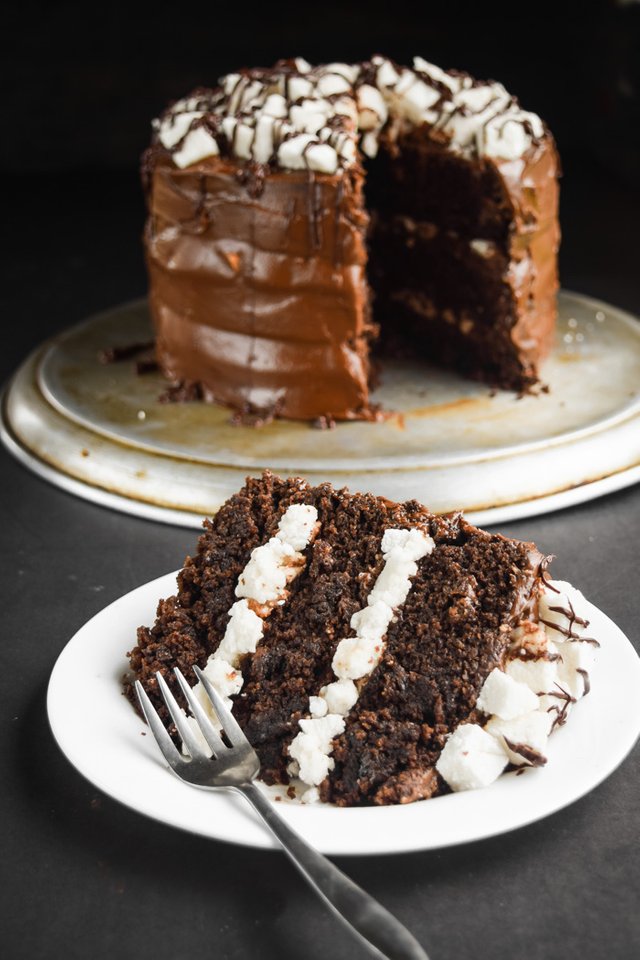 Rich and Dark Hot Cocoa Triple Layer Cake (Vegan)-4.jpg
