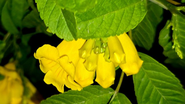 20250214_031320.jpg