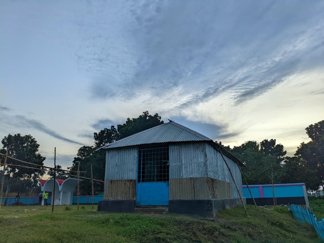 1000050317.jpg