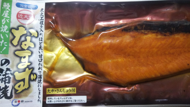 kindai-catfish1.png