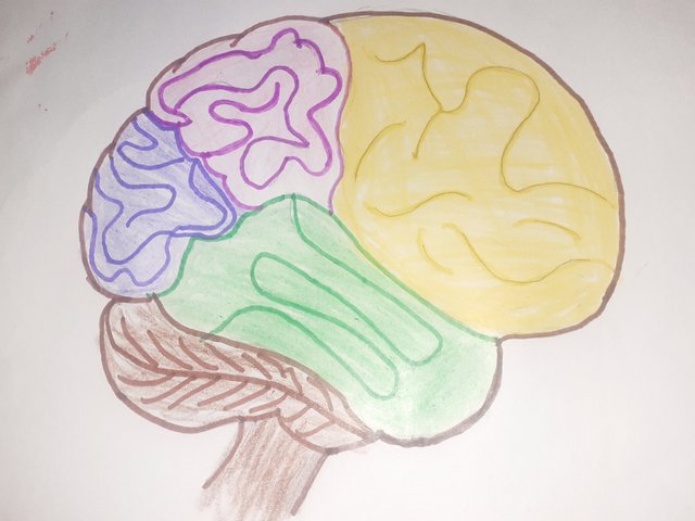 20250616_144226.jpg