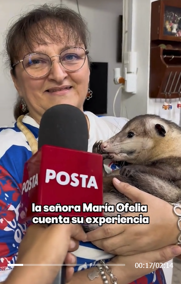 imagen.png