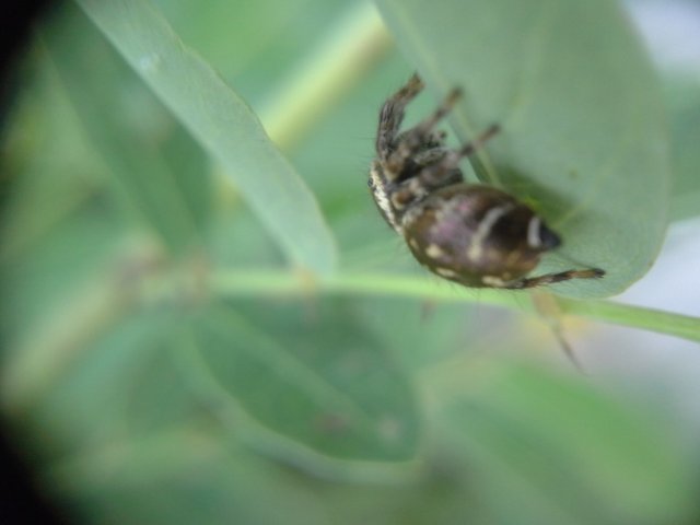 20180605_155630.jpg
