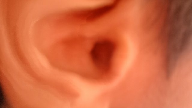 IMG_20250304_124824.jpg