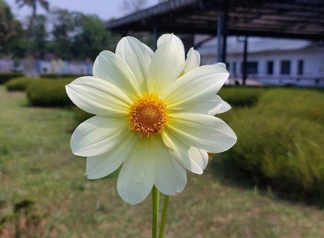 IMG_20230427_083953.jpg