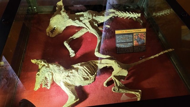 20240331_160141.jpg