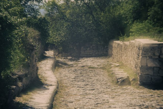 DSC06014.jpg