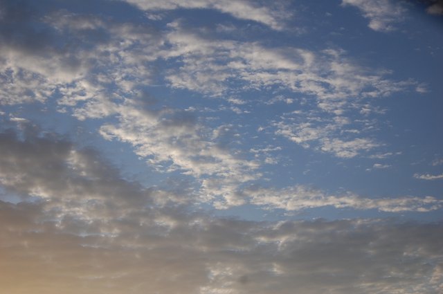 k-DSC_0401.JPG