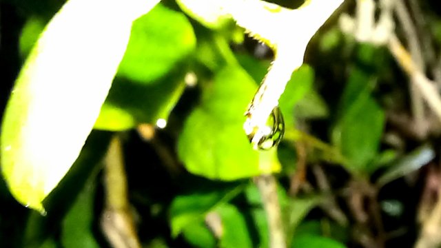 20250616_190657.jpg