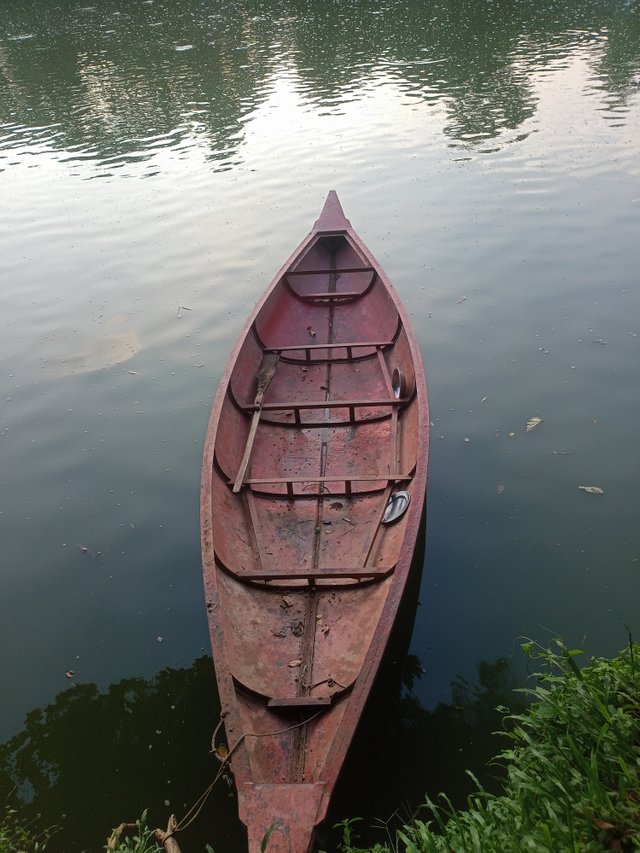 IMG20250816174955.jpg