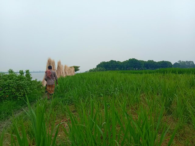 IMG_20250802_200629.jpg