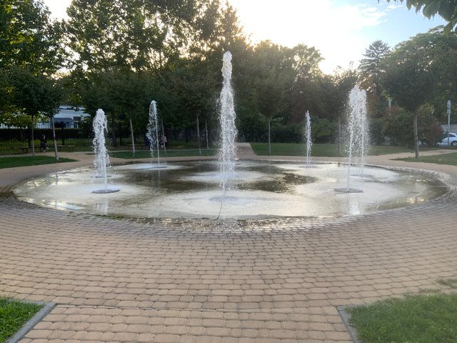 image.jpeg
