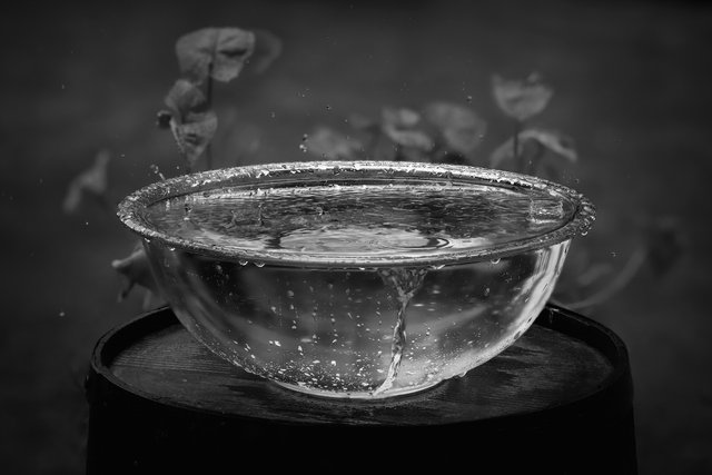 Bowl of Rain copy.jpg