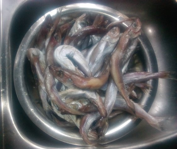 Fresh-StockFish-Panla-Fish.jpg