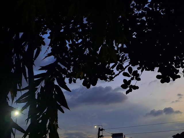 20250625_190725.jpg