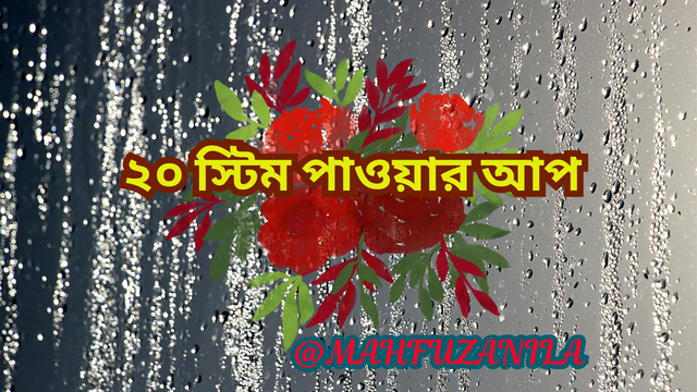 ১০স্টিম পাওয়ার আপ1.png