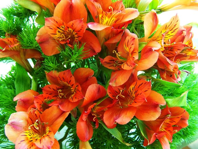 flower-bouquet-1346511_1280.jpg