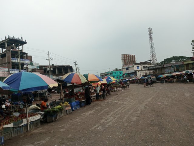 IMG_20250812_171925_874.jpg