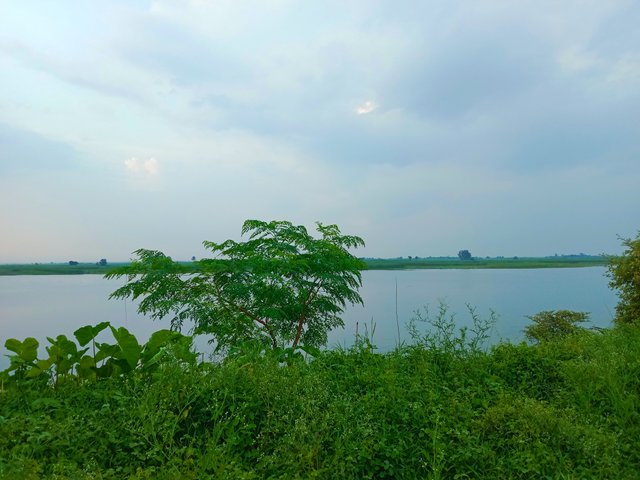 IMG_20250720_200633.jpg