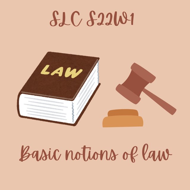 Basic notions of law_20241216_190305_0000.jpg