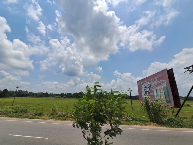 20250519_121958.jpg