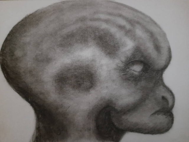 20250630_113904.jpg