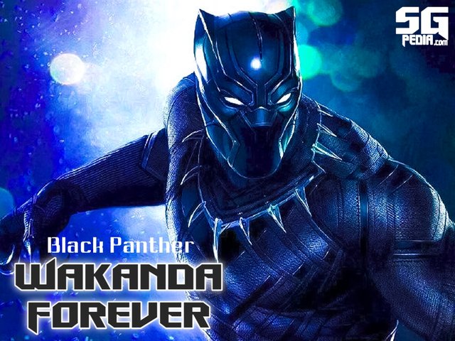 black-panther-wakanda-forever.jpg