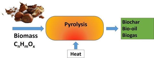 pirolisis cascaras avellanas.jpg