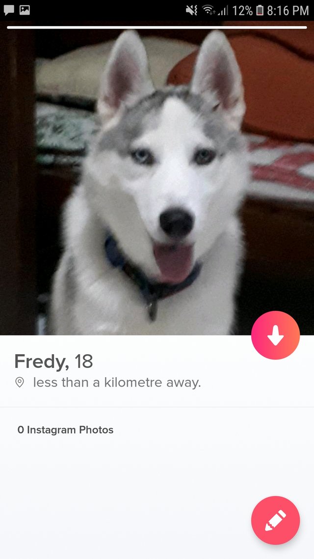 Screenshot_20180619-201649_Tinder.jpg