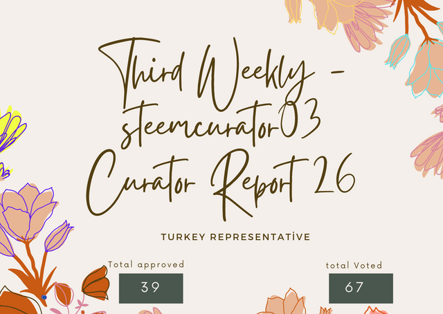 Second Weekly -steemcurator03 Turkey Curator Report (16).png