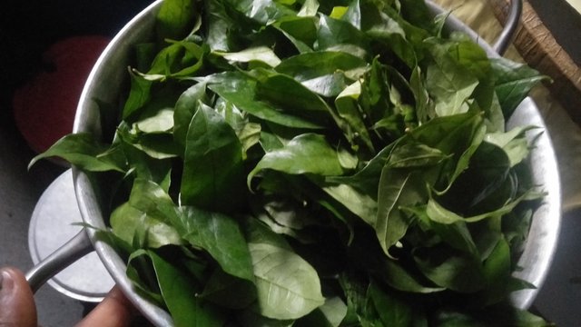 IMG20250528162720.jpg
