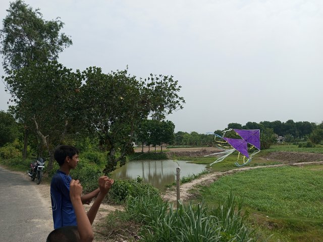 IMG_20240517_095417_428.jpg