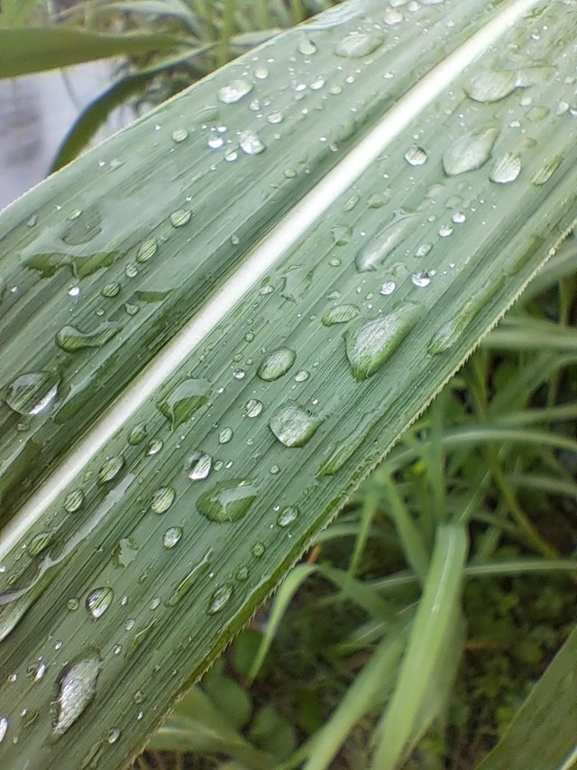 20250528_141914.jpg